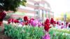 North Carolinians can soon use grants to pay for non-degree programs