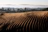How El Niño is heightening economic risk in the Gulf