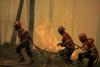 Fire in Portugal has already burned 13,000 hectares and is the most worrying
