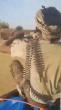 World Reuters Insurgents stage coordinated attacks on army positions across Mali