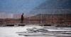 Chilean Salmon Farming Industry Faces Record Death Toll: Another Tragedy Strikes Patagonia