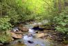 More than 170 miles of West Virginia trout streams gain new protection