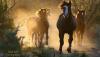 Freedom Runs the Salt: Arizona’s Wild Horses Are a Living Tourism Treasure Worth Protecting
