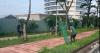 Ho Chi Minh City’s most populous ward launches crackdown on stray dogs