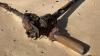 Why do these WW2 beach relics exist?
