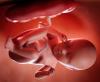 Pakistan Probes Human Placenta Smuggling for Anti-Aging Injections