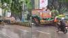 WATCH Viral Video: Pune Civic Workers Water Roadside Plants In Heavy Rain, Internet Asks 'Why?'