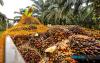 MPOB Research Station To Boost Melaka's Palm Oil Industry - Ab Rauf