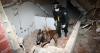 Vietnamese search-and-rescue dog unit honored with Venezuelan medal for earthquake mission