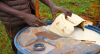 Kenya must move beyond toxic pesticides dependency to protect public health and food security