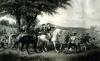 America 250: How America Became a Global Leader