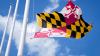 Maryland loves its flag. Here’s why.