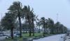 Qatar to witness fresh to strong winds from Monday through end of week