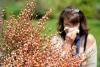 Northern Ireland hay fever sufferers warned of potential dangers whilst behind the wheel and tips for drivers on keeping symptoms at bay