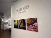 Art exhibit examines 25 decades of American experience