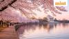 India's outbound travel defies West Asia turmoil as Thailand, Australia, Singapore and US woo tourists