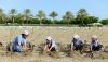 Over 72mn trees, 32 nature reserves lead Oman towards net-zero targets