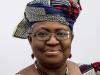SAHEL TO THE WORLD: Okonjo-Iweala Celebrates African Breakthroughs at the World Cup, Challenges Super Eagles