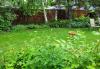 Garden Chat: Mindful gardening