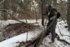 Red Deer Polytechnic research explores coyote ecology