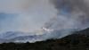 Infernos devastate forests as Europe's temperatures rise
