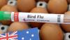 NSW becomes Australia's third state with bird flu