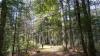 One of Wisconsin's best, oldest forest tracts is newly…