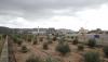 Investments worth OMR158mn to boost food security in Al Dakhiliyah