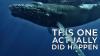 Whale remains have been washing up in Michigan for years -- here’s why