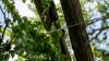 DTE power won't be restored until Wednesday for some in Michigan