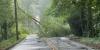 Storms snap trees, knock out power across metro Atlanta