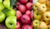 Kazakhstan will temporarily ban apple imports. Will Moldova’s fruit-growing industry be affected?
