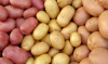Are Moldova and its neighbors on the brink of another “potato crisis”?