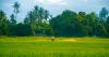 How the Middle East Conflict Is Reshaping Indian Agriculture