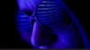 Windows 11 identifier code used to track Scattered Spider perp after Microsoft shared info with FBI — 19-year-old US-Estonian hacker arrested over alleged ties to infamous extortion group
