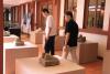 Buddhist Artifacts from Ta Prohm Temple on Display at a Siem Reap Museum