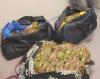 Suspect arrested at Cape Town Airport for alleged drug trafficking