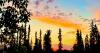 Photowalks: Fairbanks, Alaska
