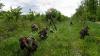 French volunteers train with Ukrainian military intelligence's International Legion