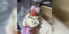 Tallahassee family welcomes first baby born on July 4th at TMH