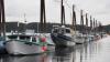 Commercial fishermen hurt by BPA funding cut to SAFE area fisheries