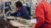 Shoppers set to see lower prices at checkouts thanks to $500million food ‘lifeline’ payout