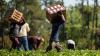 OPINION: Modern-day slavery in migrant labour markets
