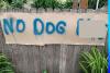Minnesota AG Steps In After Mankato Couple Allegedly Targeted Neighborhood Dogs