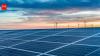 Floating solar farm in the Netherlands is transforming underwater habitat