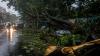 Teen biker dies after tree falls on him mid-ride amid Mumbai downpour