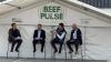 Suckler-specific cuts of beef 'not really a feature of the trade anymore'