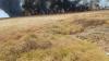 24,144 dunums of agricultural land burned in Heseke