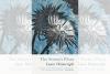 Poetry Review: The Storm’s Flora by Laura Wainwright