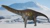 Scientists Found Antarctica’s First Dinosaur Fossil Hiding in a Museum Drawer
